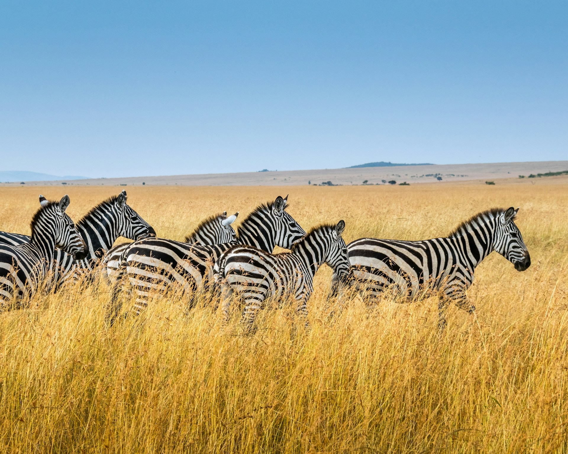 Lake Mburo National Park