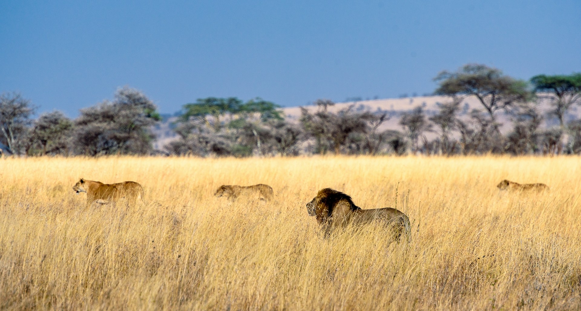 Serengeti National Park