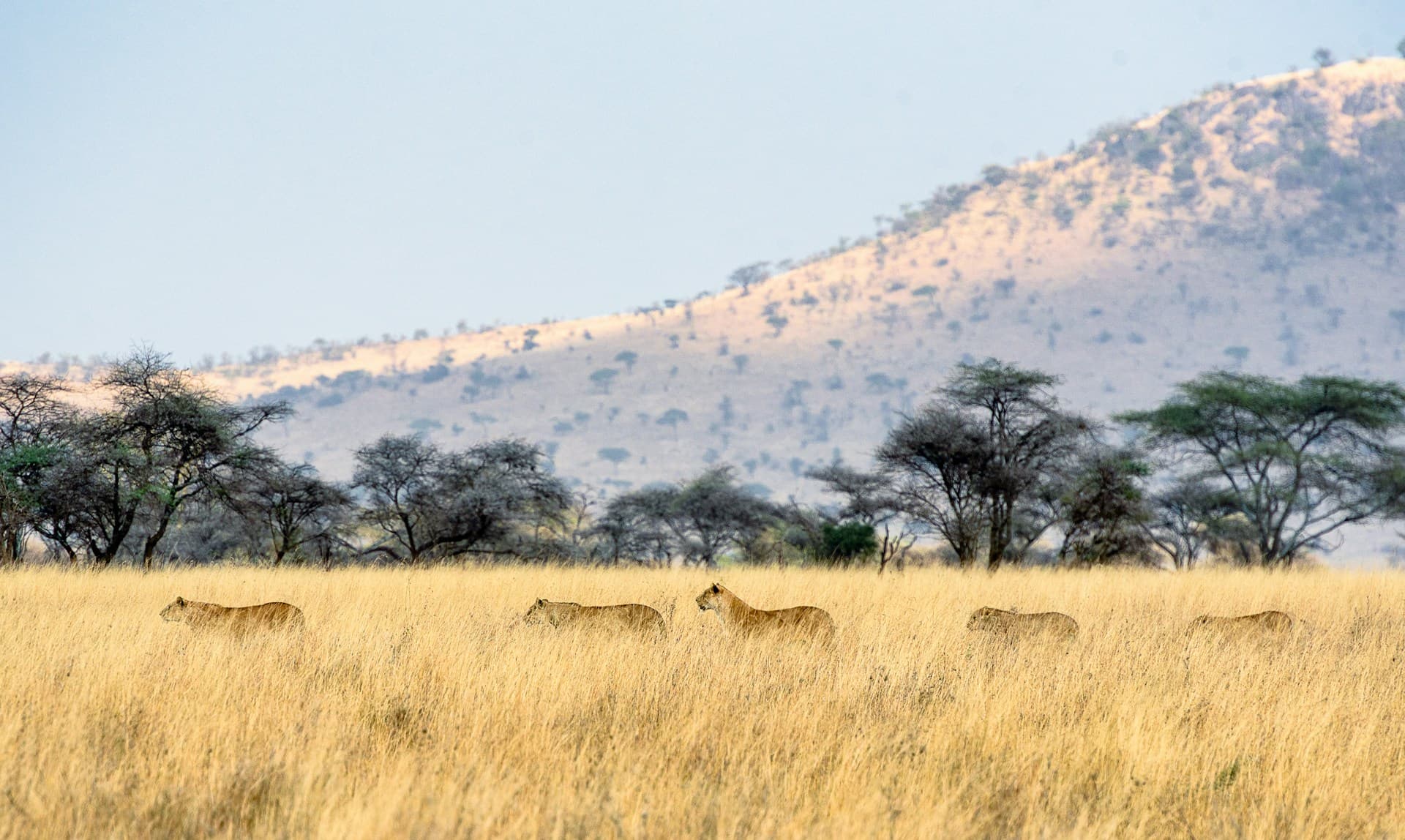 Tanzania